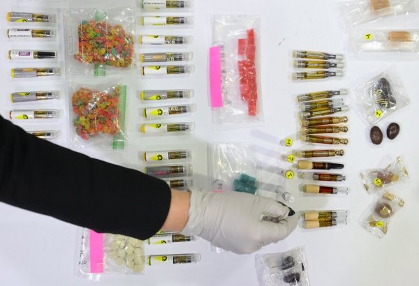 지난 3월 인천본부세관 수출입통관청사에서 인천세관 마약조사과 직원이 다양한 형태의 대마 제품들을 진열하고 있다. /뉴시스