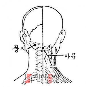 국선도 풍지혈(風池穴)